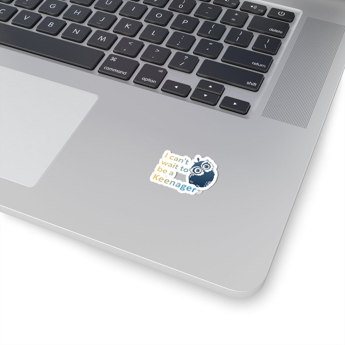 Can’t Wait to Be a Keenager – Adorable Owl Sticker