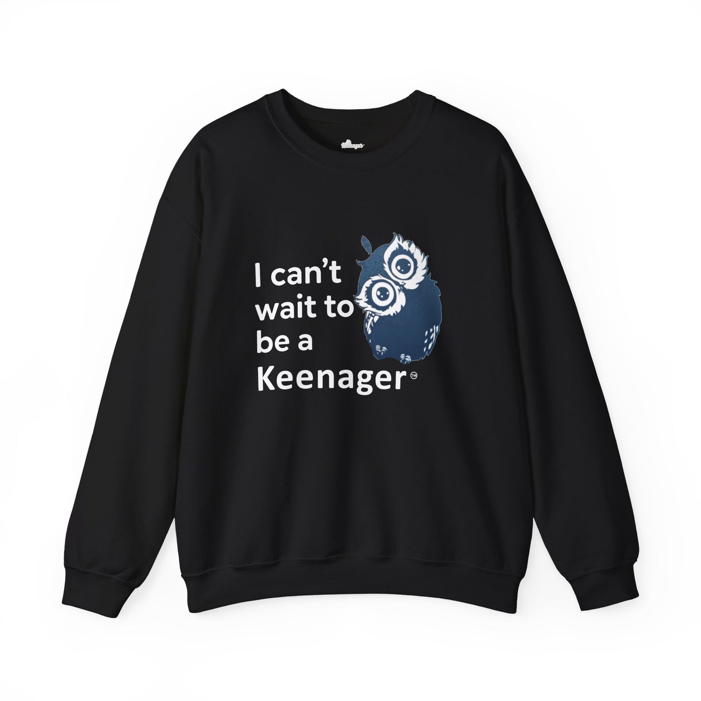 Can’t Wait to be a Keenager – Adorable Owl Sweatshirt