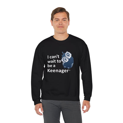 Can’t Wait to be a Keenager – Adorable Owl Sweatshirt
